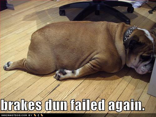 funny fail pictures. Funny+english+bulldog+
